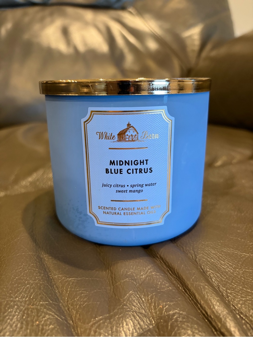 White Barn Midnight Blue Citrus Scented Candle
